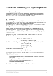 Nummerische Behandlung des EWP