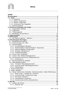 Leseprobe Sinne Fernstudium