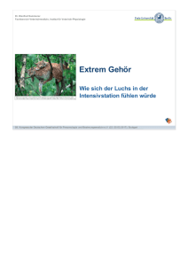 Extrem Gehör - tetfolio.de