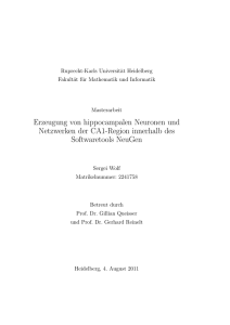 Erzeugung von hippocampalen Neuronen und Netzwerken der CA1