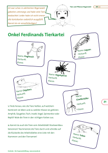 Onkel Ferdinands Tierkartei