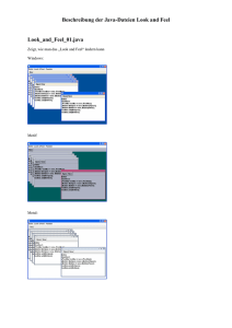 Beschreibung der Java-Dateien Look and Feel