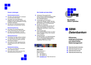 SBM- Datenbanken