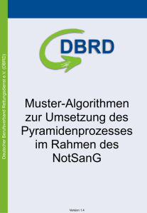 Muster-Algorithmen zur Umsetzung des Pyramidenprozesses im Rahmen