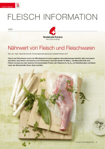 Fleisch Information