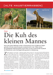 alte haustierrassen - Deutscher Tierschutzbund