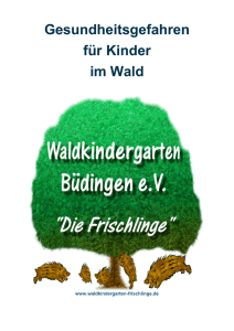 Brosch&uuml;re des Waldkindergartens B&uuml;dingen