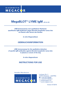 MegaBLOT® LYME IgM - Gebrauchsinformation / Instructions for use