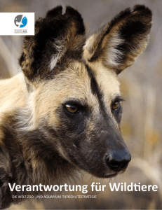 Verantwortung für Wildtiere - World Association of Zoos and