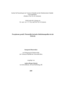 Toxoplasma gondii: Infektionsquellen und -risiken in der