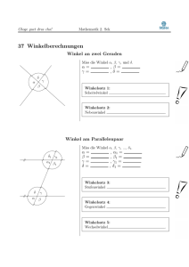 37 Winkelberechnungen