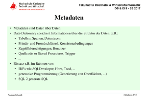 Metadaten - smiffy.de