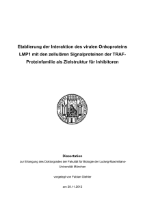 Etablierung der Interaktion des viralen Onkoproteins LMP1 mit den