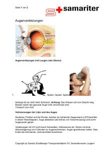 Augenverletzungen - Samariterverein Lungern
