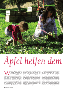 Weltweit gibt es mehrere Tausend Apfelsorten, in der Schweiz allein