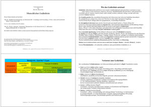 Menschliches Gedächtnis - r-h