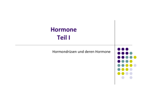 Hormone - Teil 1