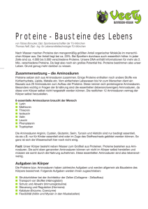 Proteine Bausteine des Lebens.indd