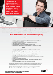 Web Entwickler im Java Umfeld (m/w)