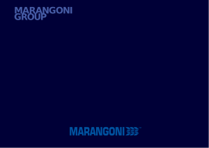 MARANGONI Group Report 2010