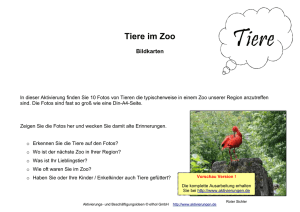 Tiere im Zoo - Aktivierungen.de