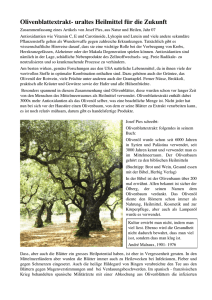 Olivenblattextrakt- heilmittel fr die Zukunft - oliven-baum