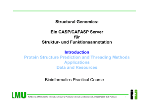 Structural Genomics: Ein CASP/CAFASP Server für Struktur