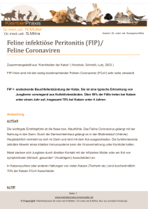 Feline Coronaviren - Kleintierpraxis Dr. Nina Müller