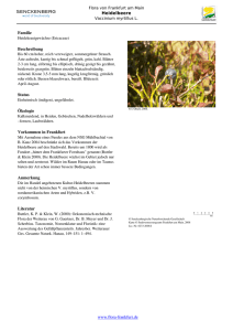 Vaccinium myrtillus L. Heidelbeere