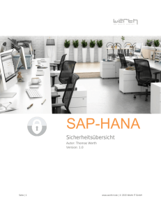 Werth IT: SAP-HANA Sicherheitsübersicht