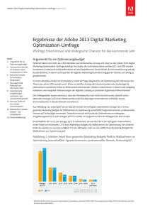 Ergebnisse der Adobe 2013 Digital Marketing