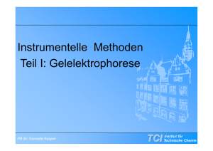 Gelelektrophorese - TCI @ Uni