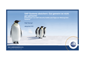 SAP®-Systeme absichern