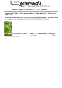 Vigna unguiculata subsp. sesquipedalis -