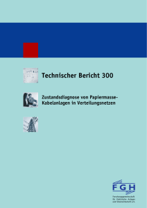 Technischer Bericht 300 - Forschungsgemeinschaft für Elektrische