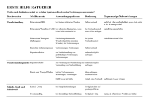 PDF-Ratgeber - apro Arbeitsschutz