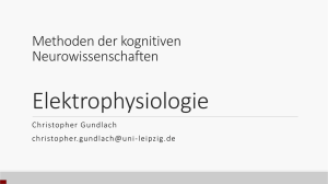 04-Elektrophysiologie - Max-Planck-Institut für Kognitions