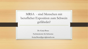 MRSA - sind Menschen mit beruflicher Exposition zum Schwein