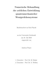 Numerische Behandlung der zeitlichen Entwicklung