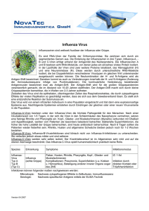 Influenza Virus