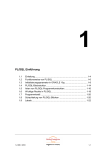 ORACLE und PL/SQL