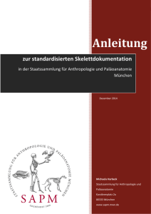 Anleitung Skelettdokumentation als PDF