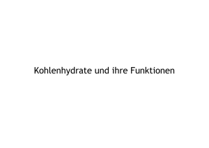 Kohlenhydrate und ihre Funktionen