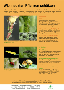 Wie Insekten Pflanzen schützen