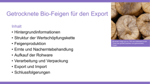 Getrocknete Bio-Feigen für den Export