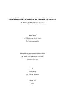Erithacus rubecula - Publication Server of Goethe University