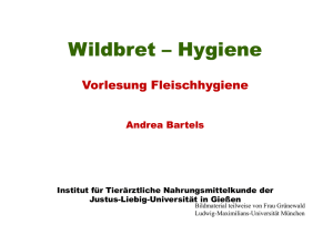 Wildbret - Fachbereich 10