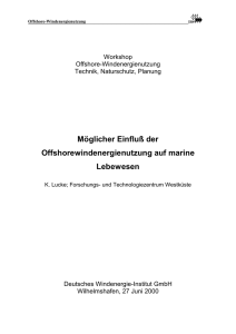 Möglicher Einfluß der Offshorewindenergienutzung auf marine
