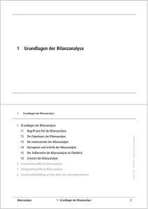 1 Grundlagen der Bilanzanalyse