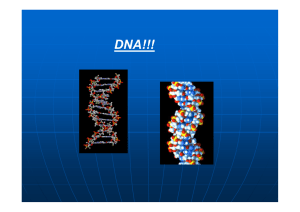 DNA!!! - Biochemie Trainingscamp